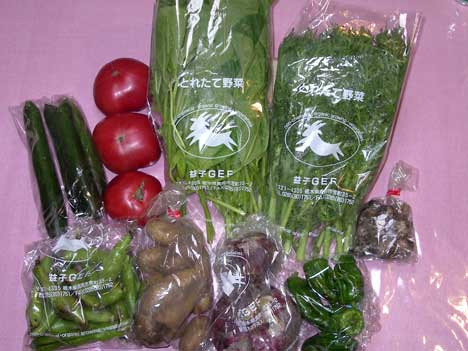 今週の野菜セット