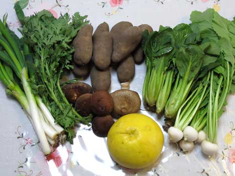 今週の野菜セット