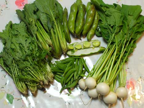 今週の野菜セット
