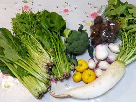 今週の野菜セット