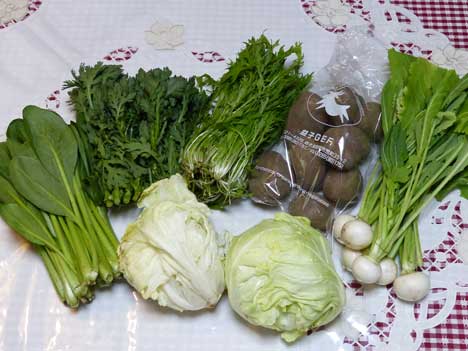 今週の野菜セット